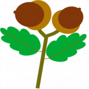 Little Acorns Registration Code